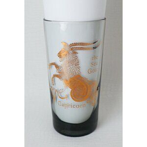Vintage Horoscope Capricorn Bar Cocktail Drinking Glass Highball Tumbler